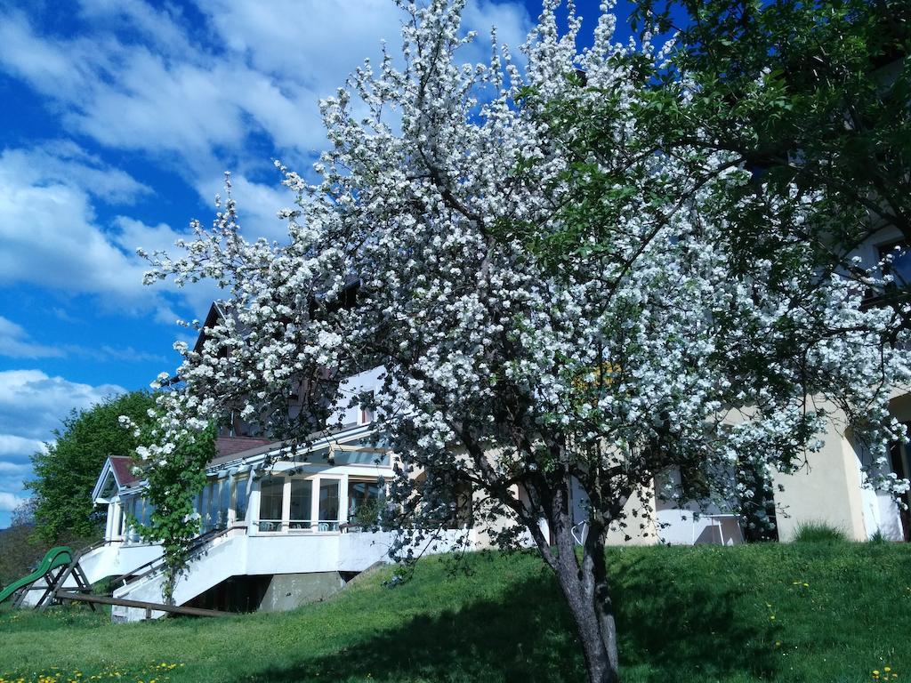 Ferienwohnungen Fiala-Koefer Portschach am Woerthersee Ngoại thất bức ảnh